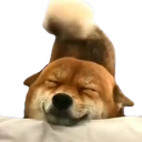 Petite grenouille heureuse (PeepoHappy)